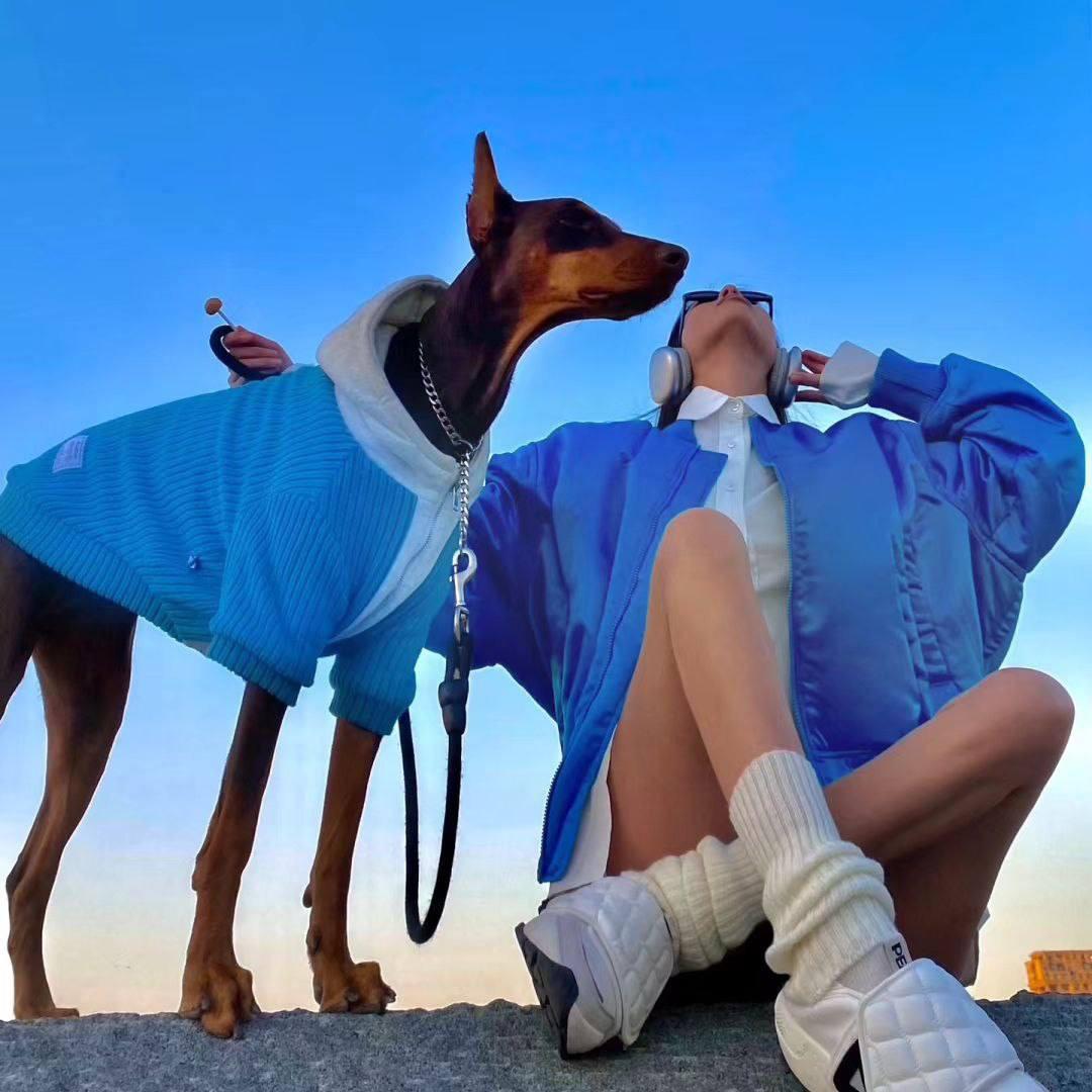 梓珂🐬