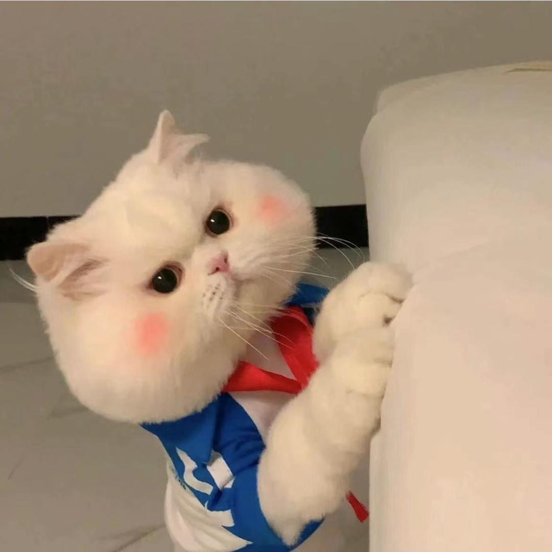 来咯.来咯