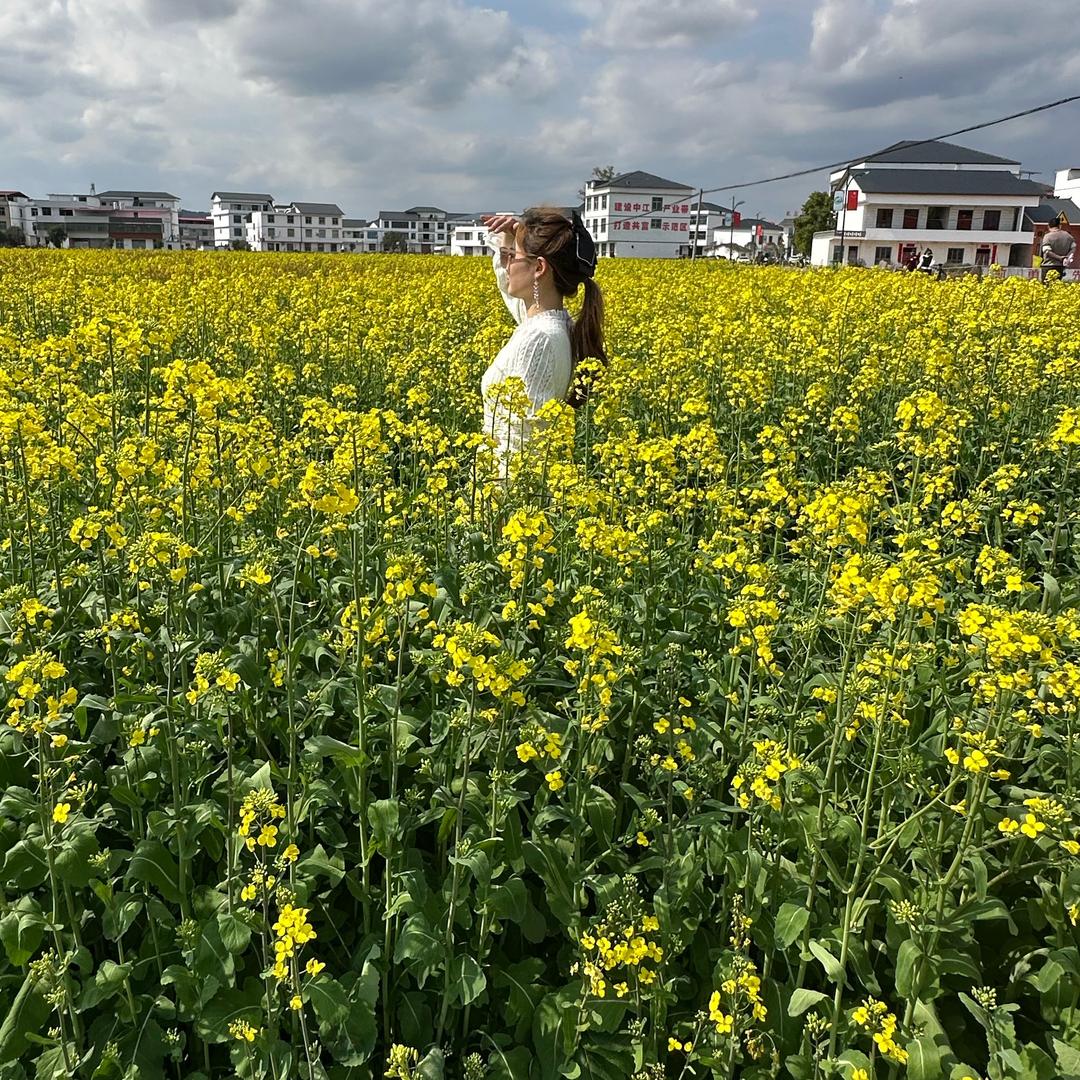 可惜你不懂……