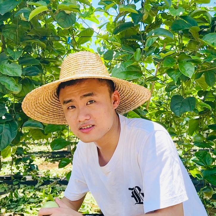 耀辉鲜果
