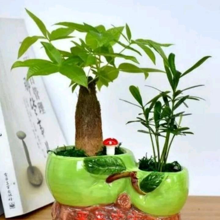 燕子
