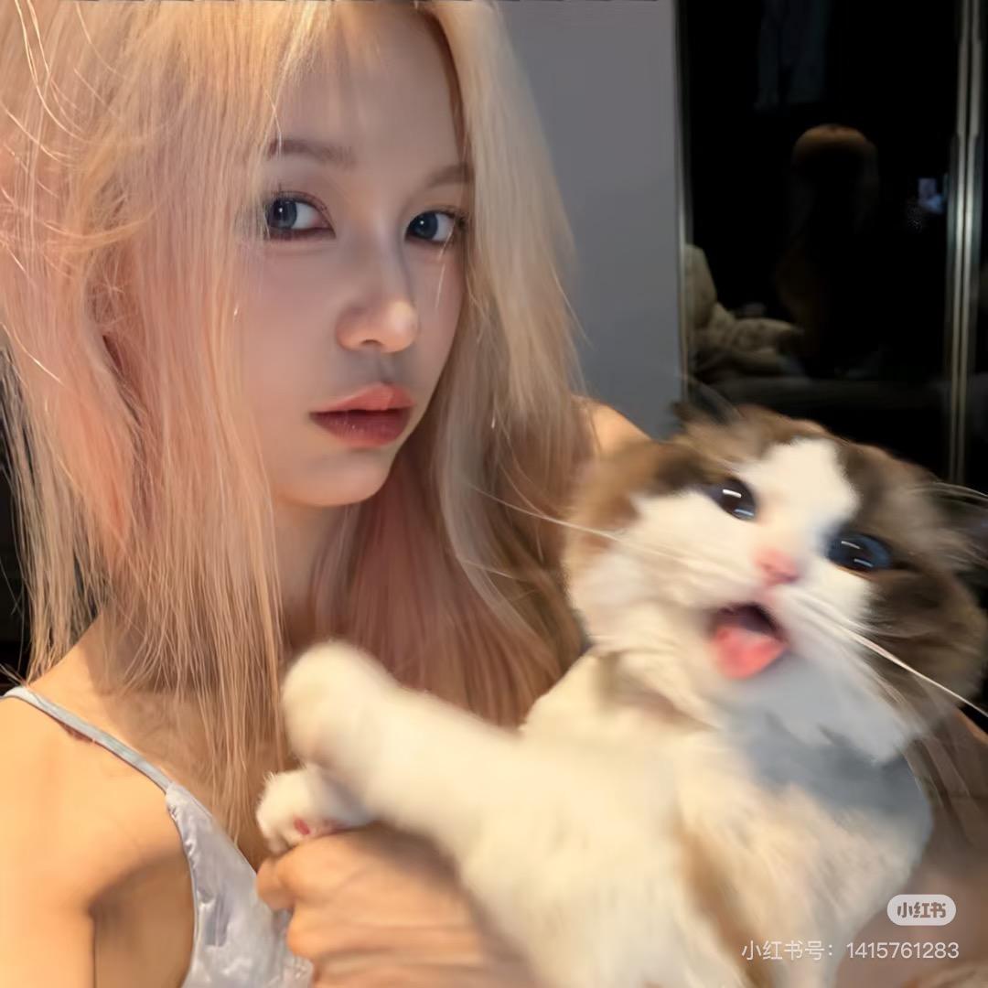 幼幼🐰