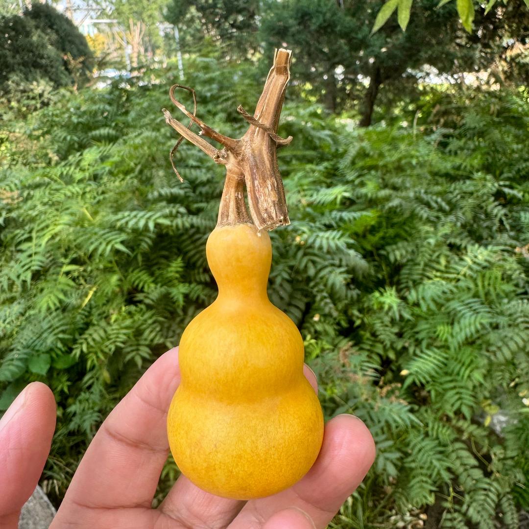 三宝福禄
