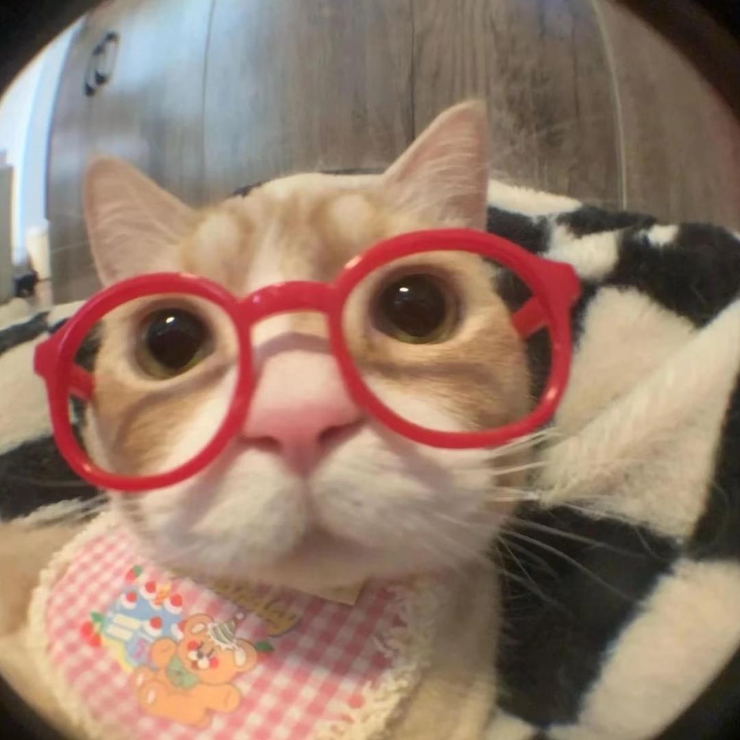 Yiyi