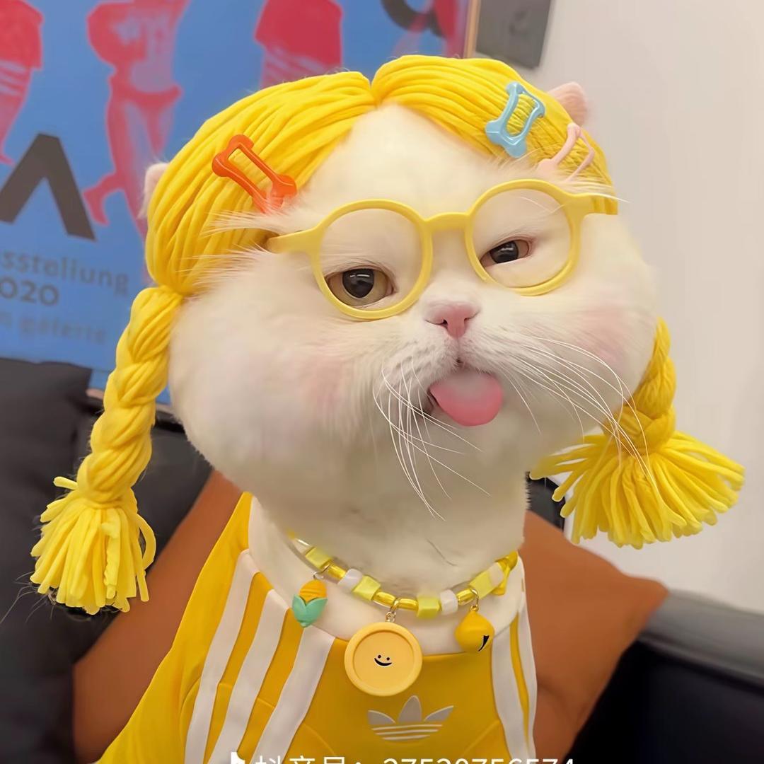 🌈让我看看.