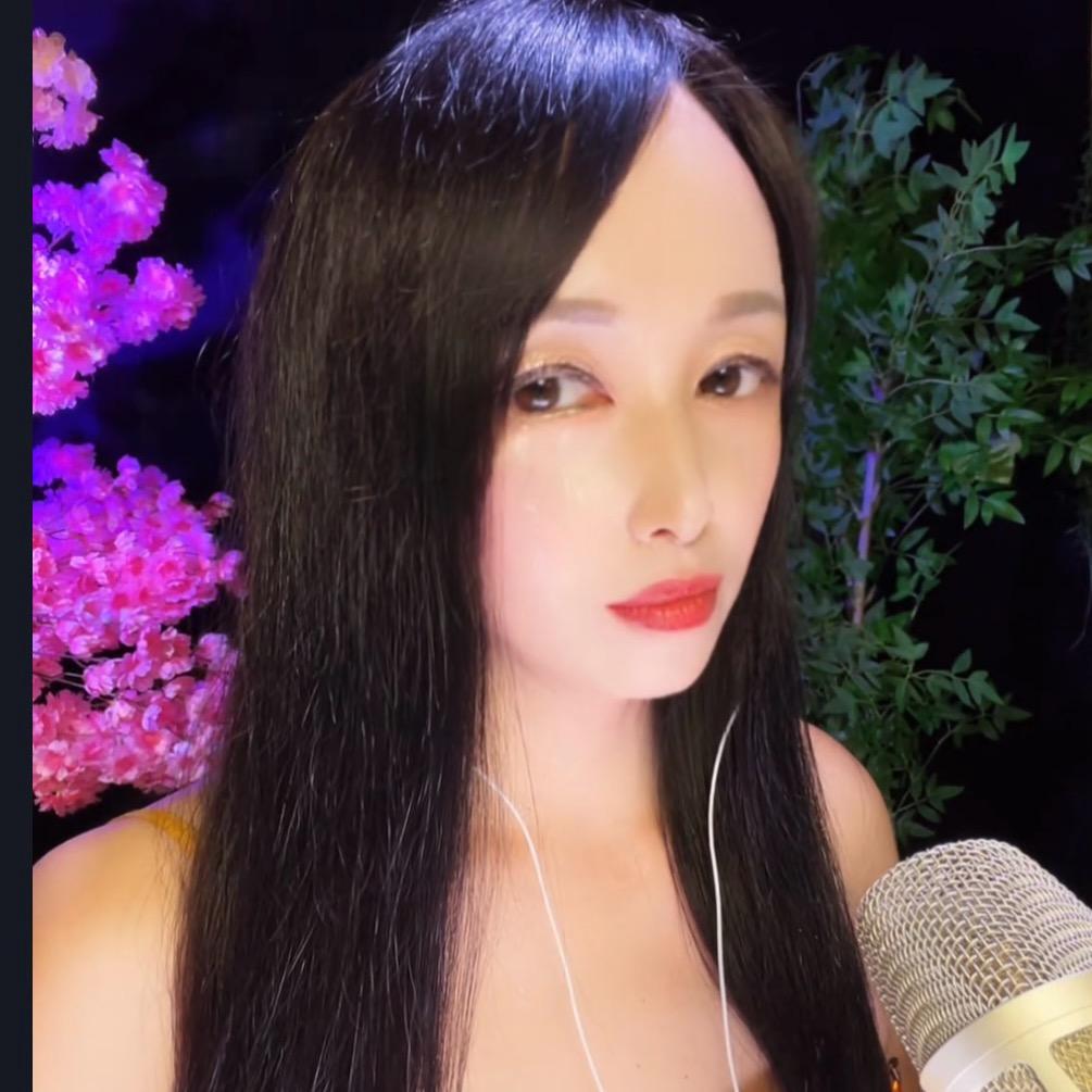 燕子🎤（伤感歌曲🎶）