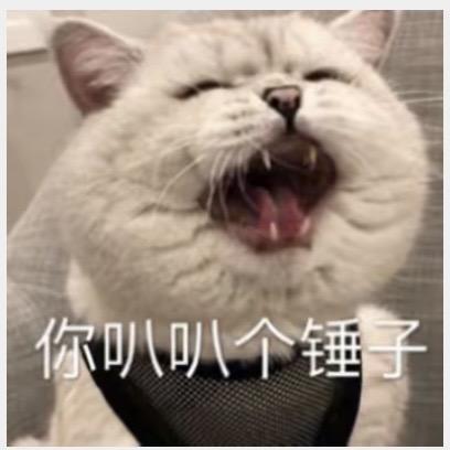 ᨦ桃桃ദ