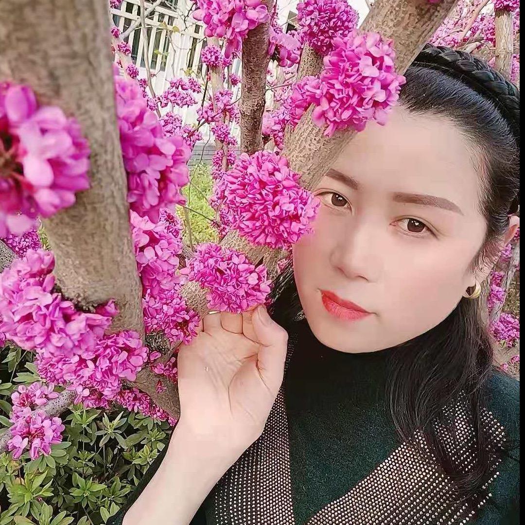 感恩(不定时直播)