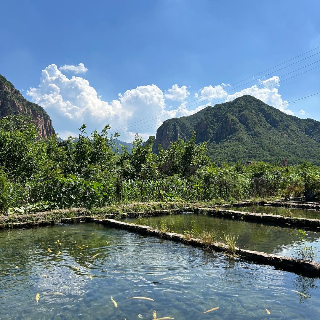笨如水（郭利渔庄）