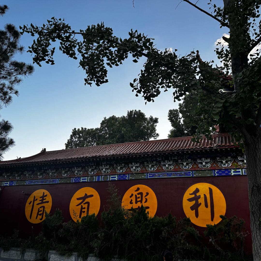周潇奇