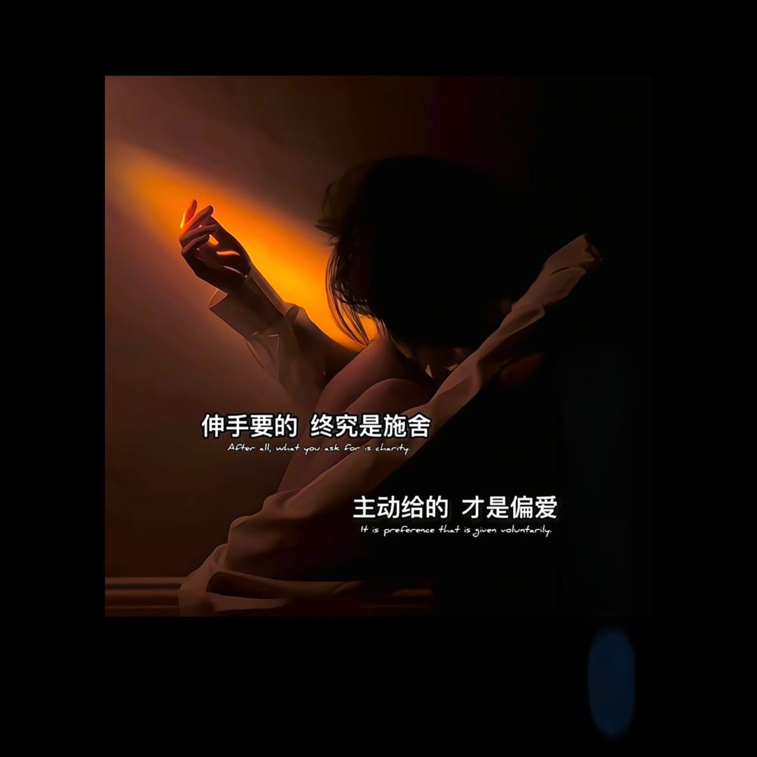 圆脸小懒猪