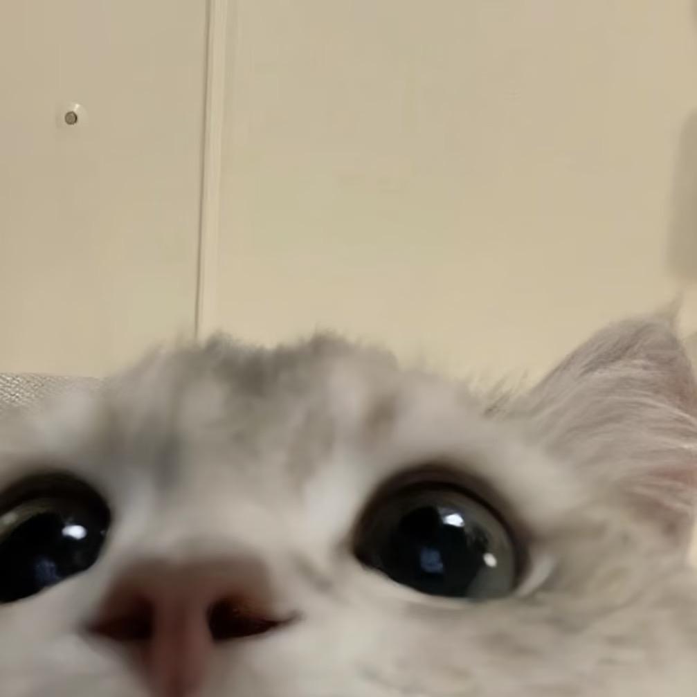 穿上苏菲显我超神