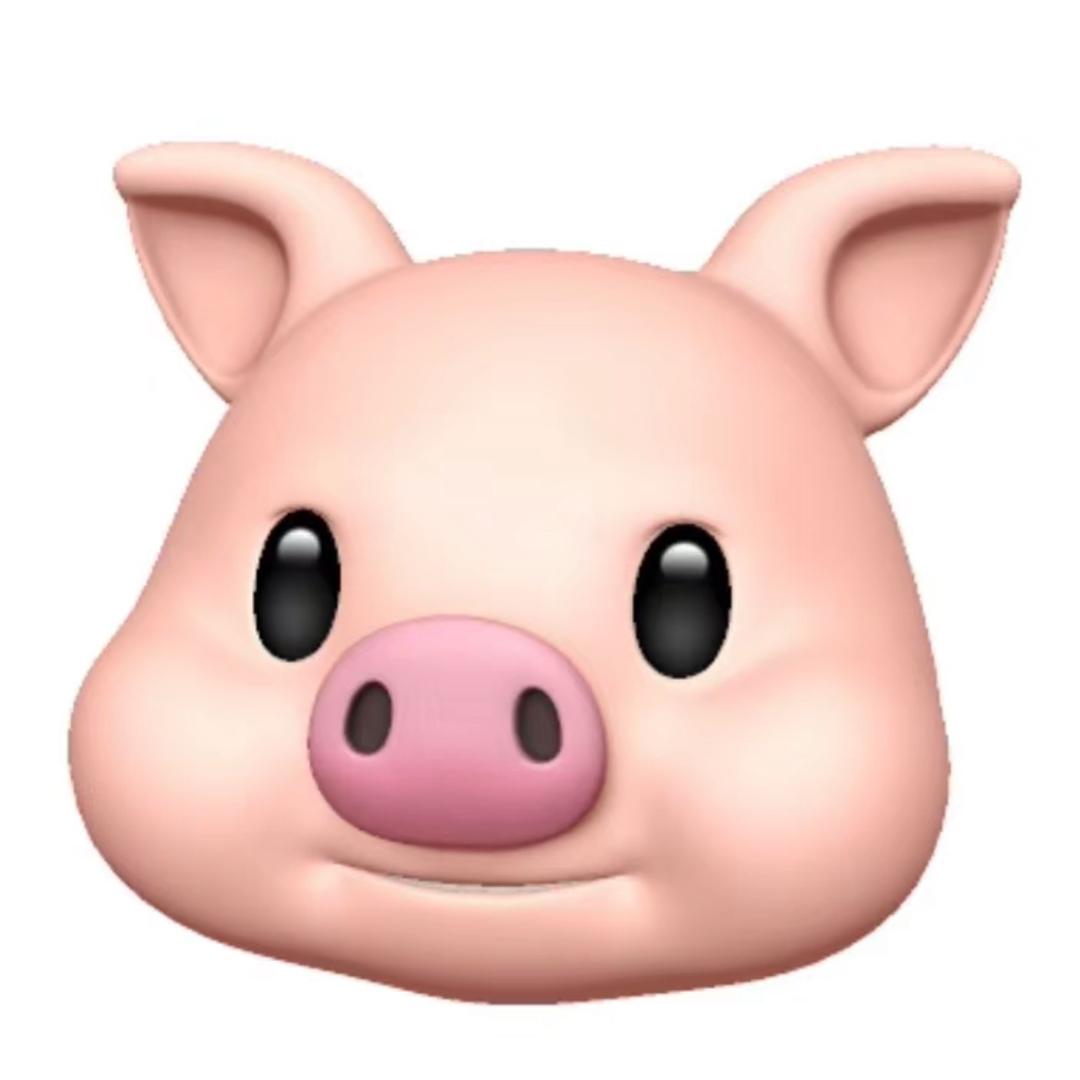 小朱哥