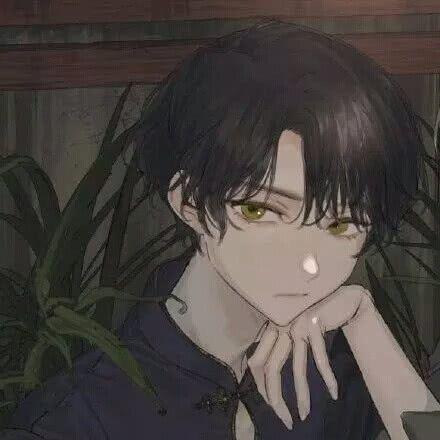 诸葛亮晶晶（中通牛马版）