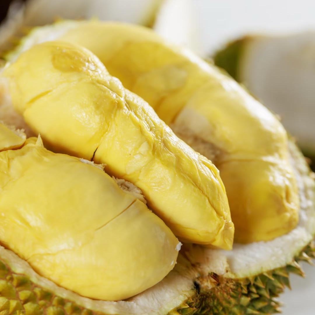 中山商行官方号