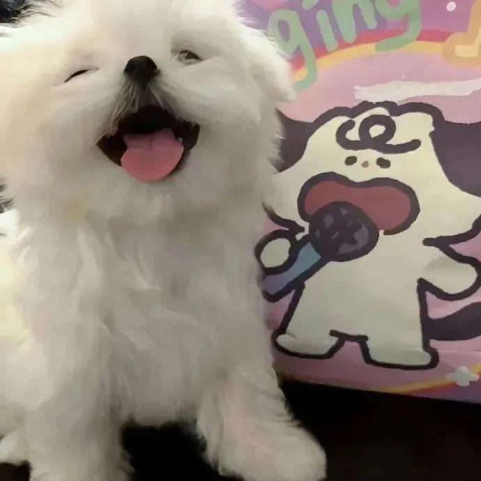 :)無話可說