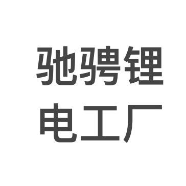 驰骋锂电厂家