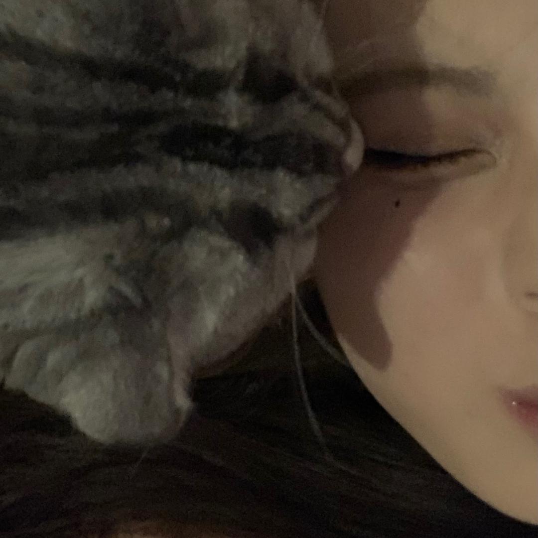 qiqi