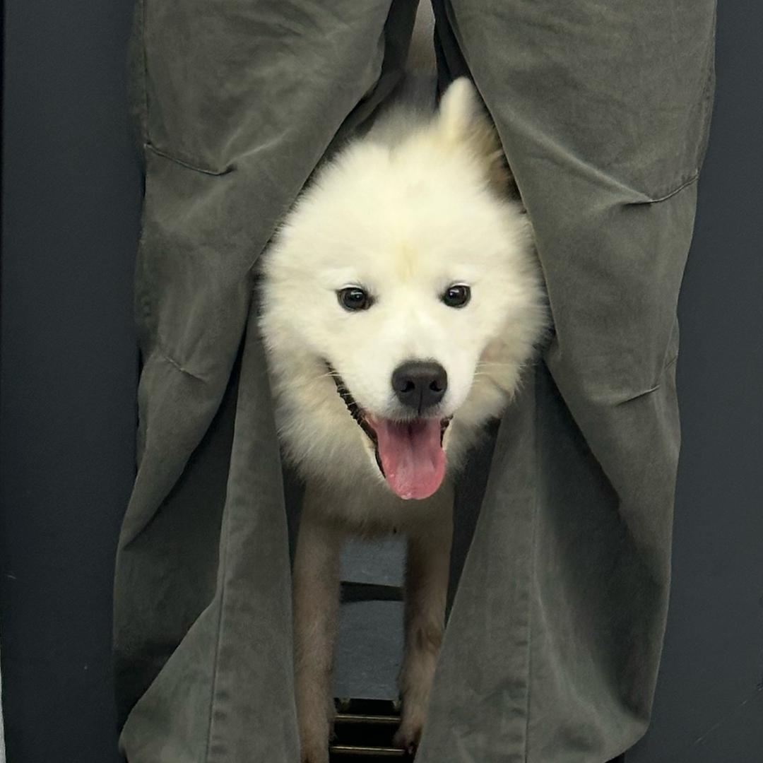 我老婆是仙女呀