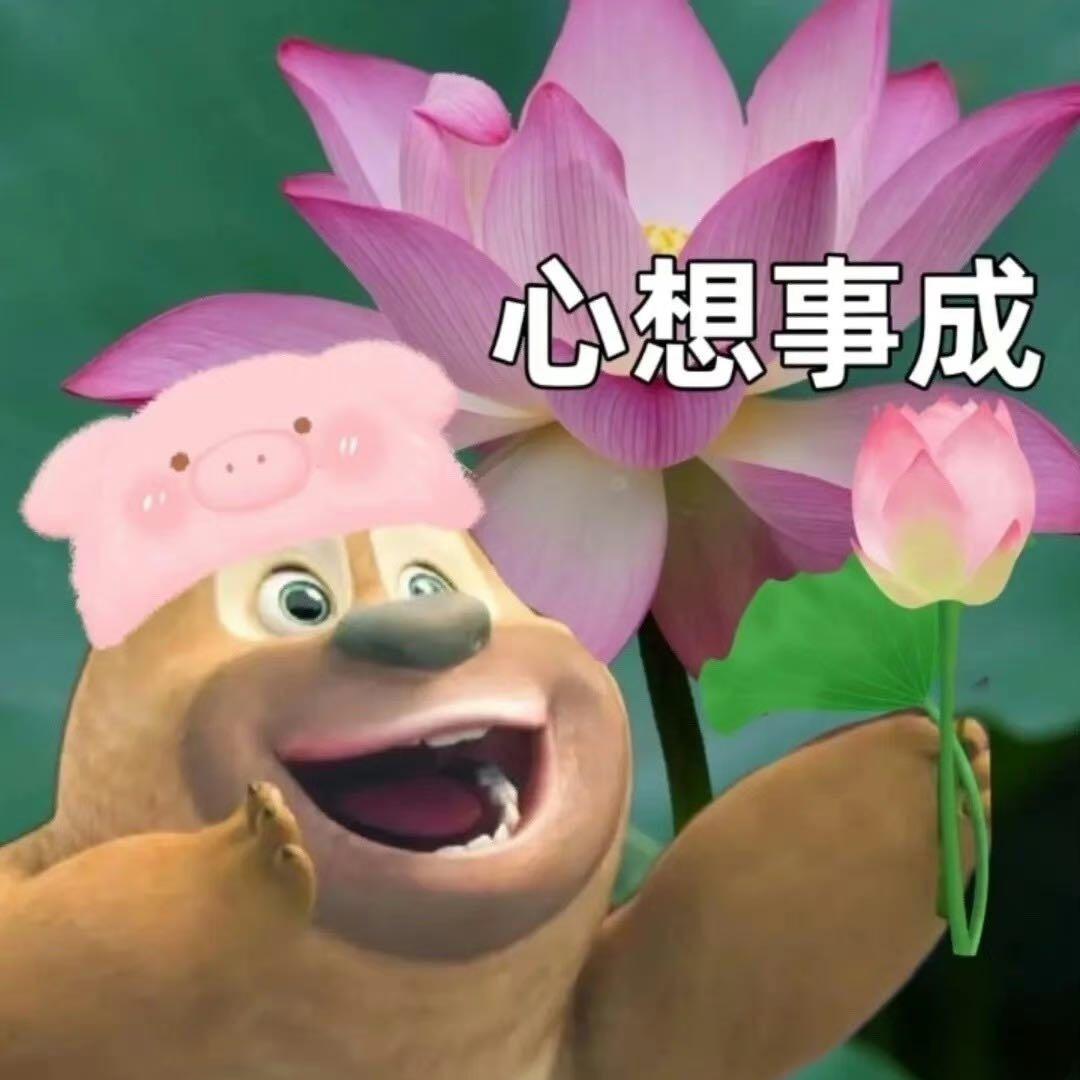 幸运小土豆🥔
