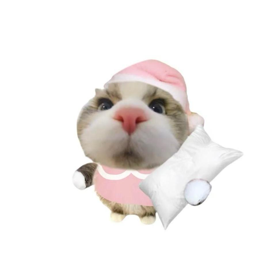 许景