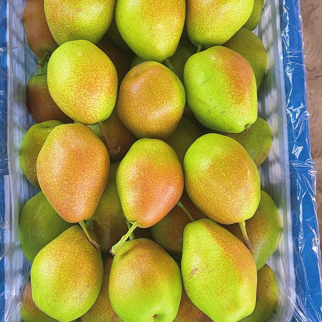 果代经销办任总