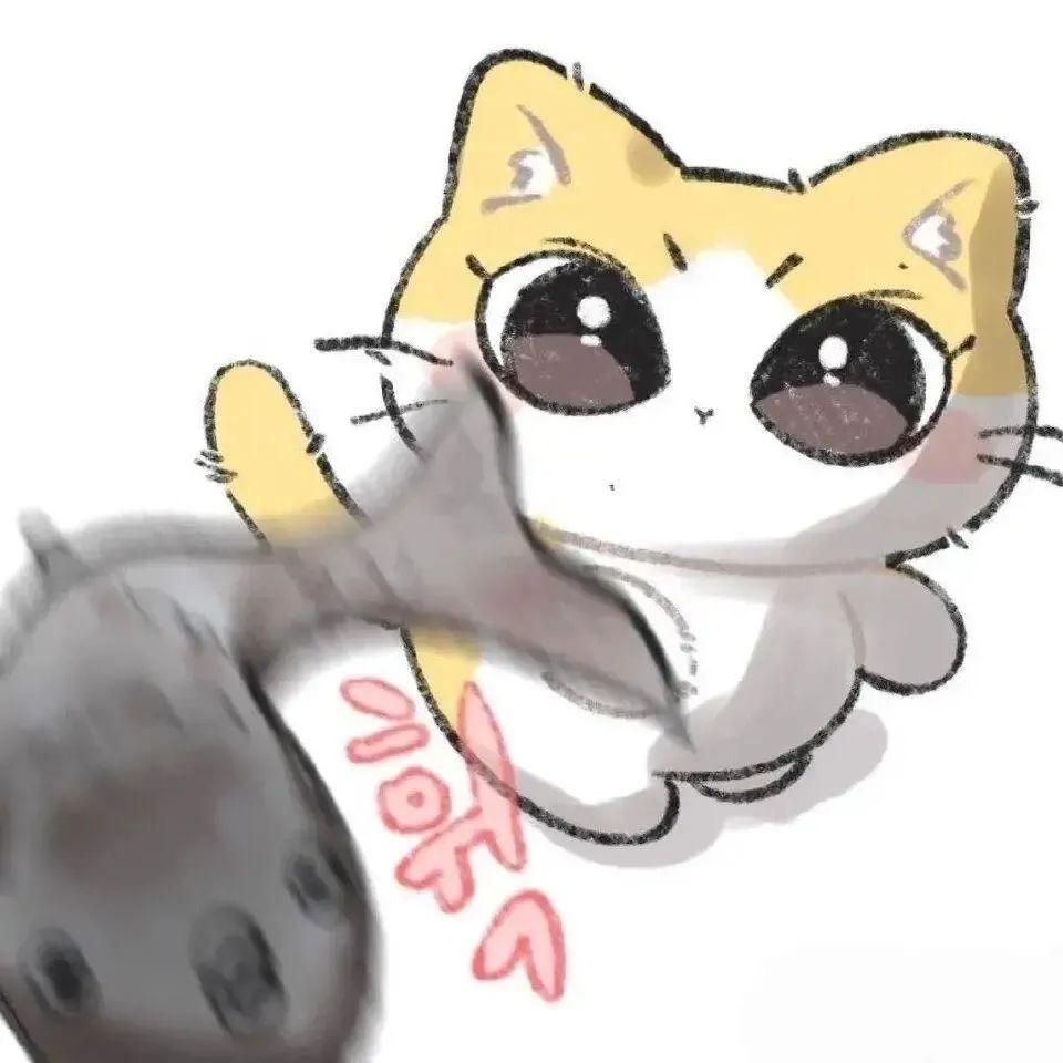 爪爪