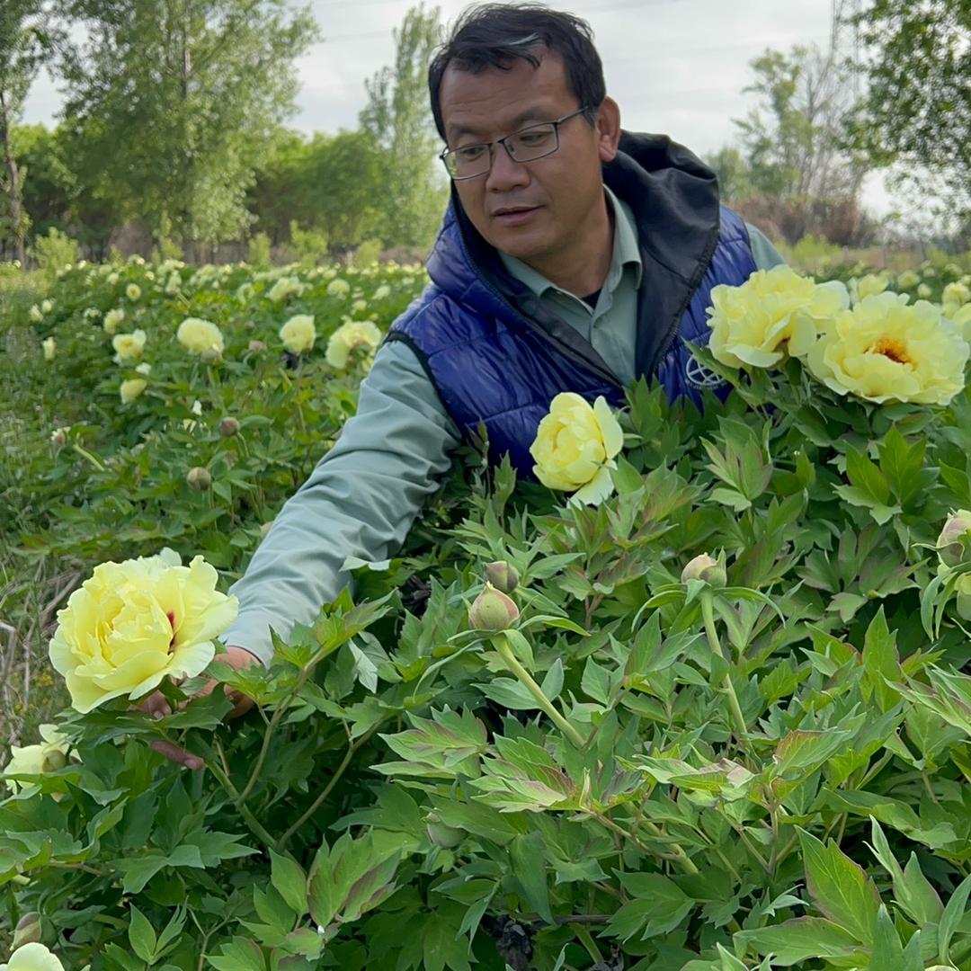 范博士北京牡丹园