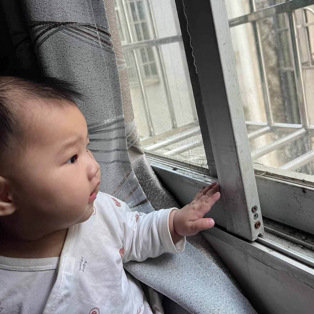 小辰研究所