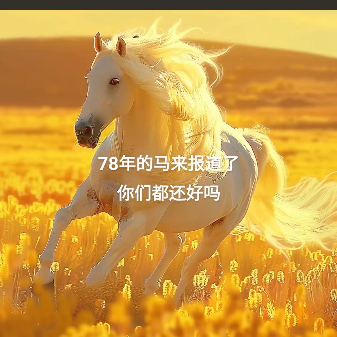 太原冯程程
