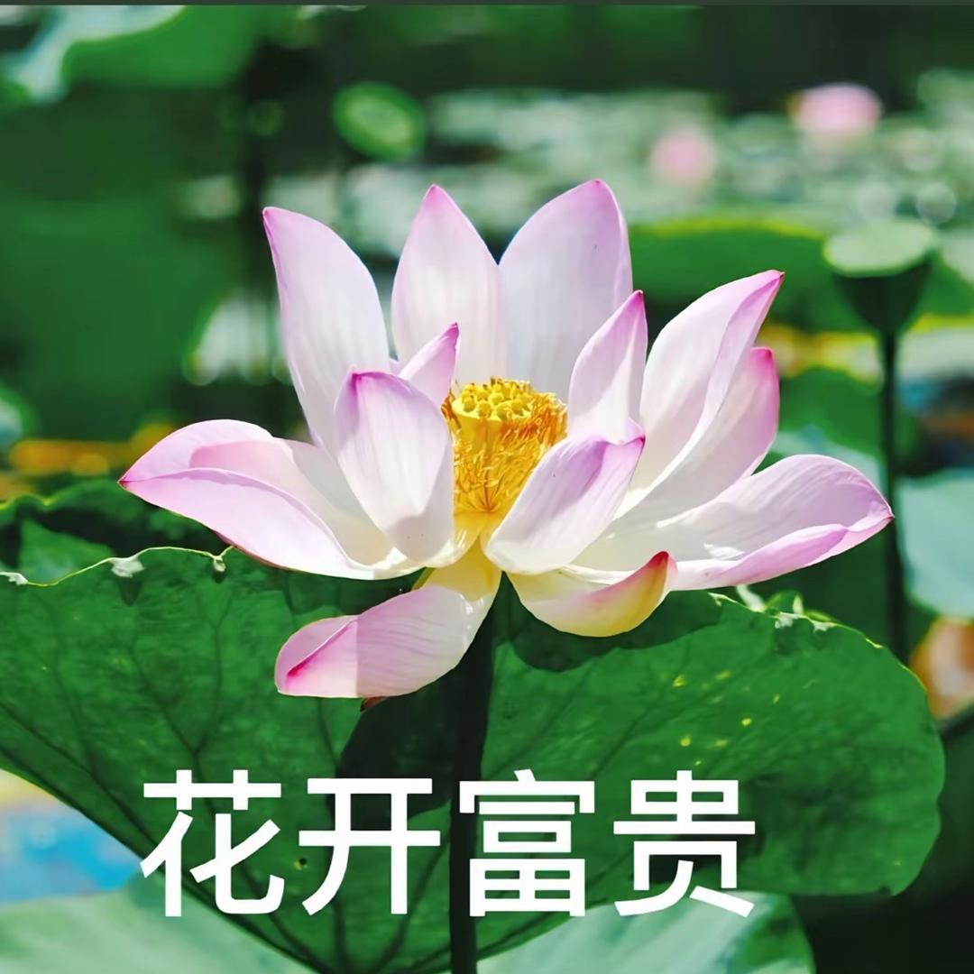 雨后