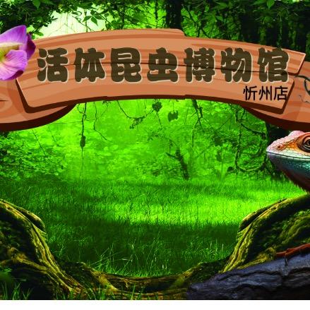 忻州可触摸活体昆虫博物馆