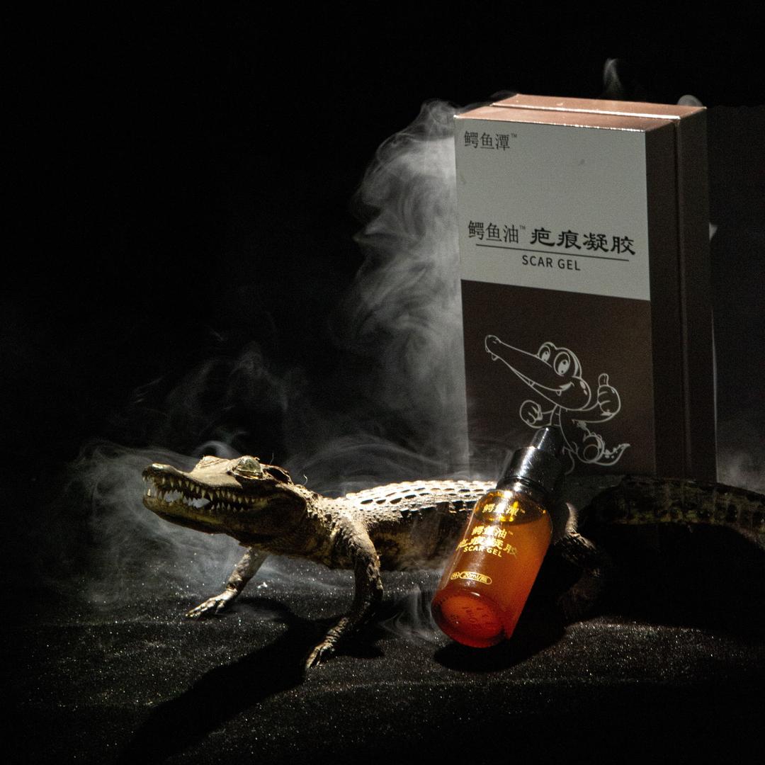 鳄鱼潭老大·3号