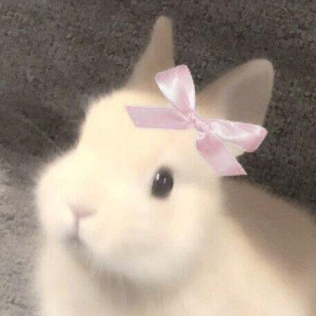 Tokki-wonz