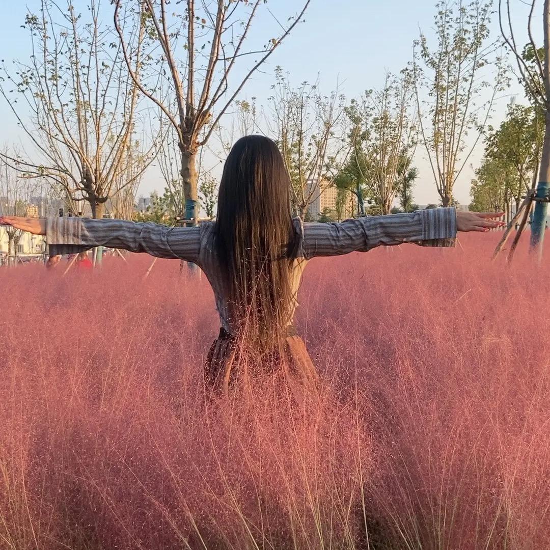 慧子🎶🌺🌺