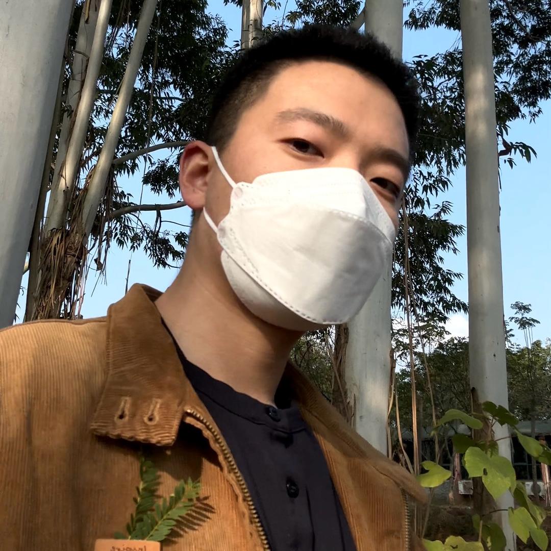 苏苏苏