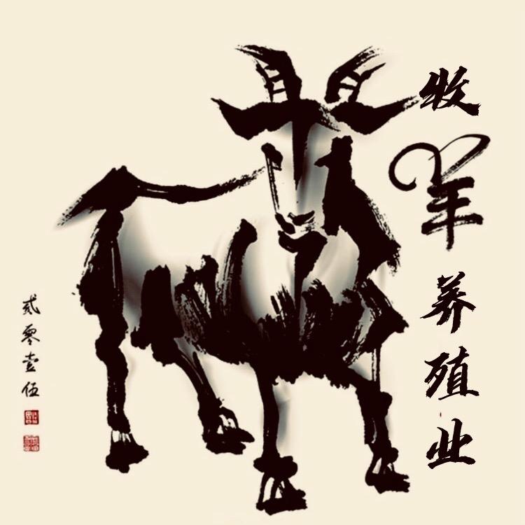 牧羊养殖业