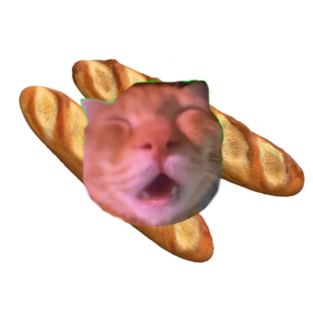 法棍猫meme