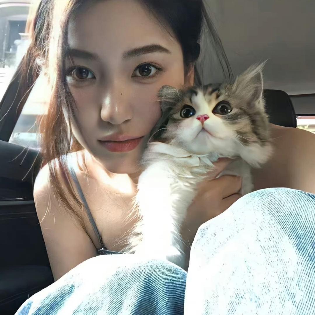 梦..