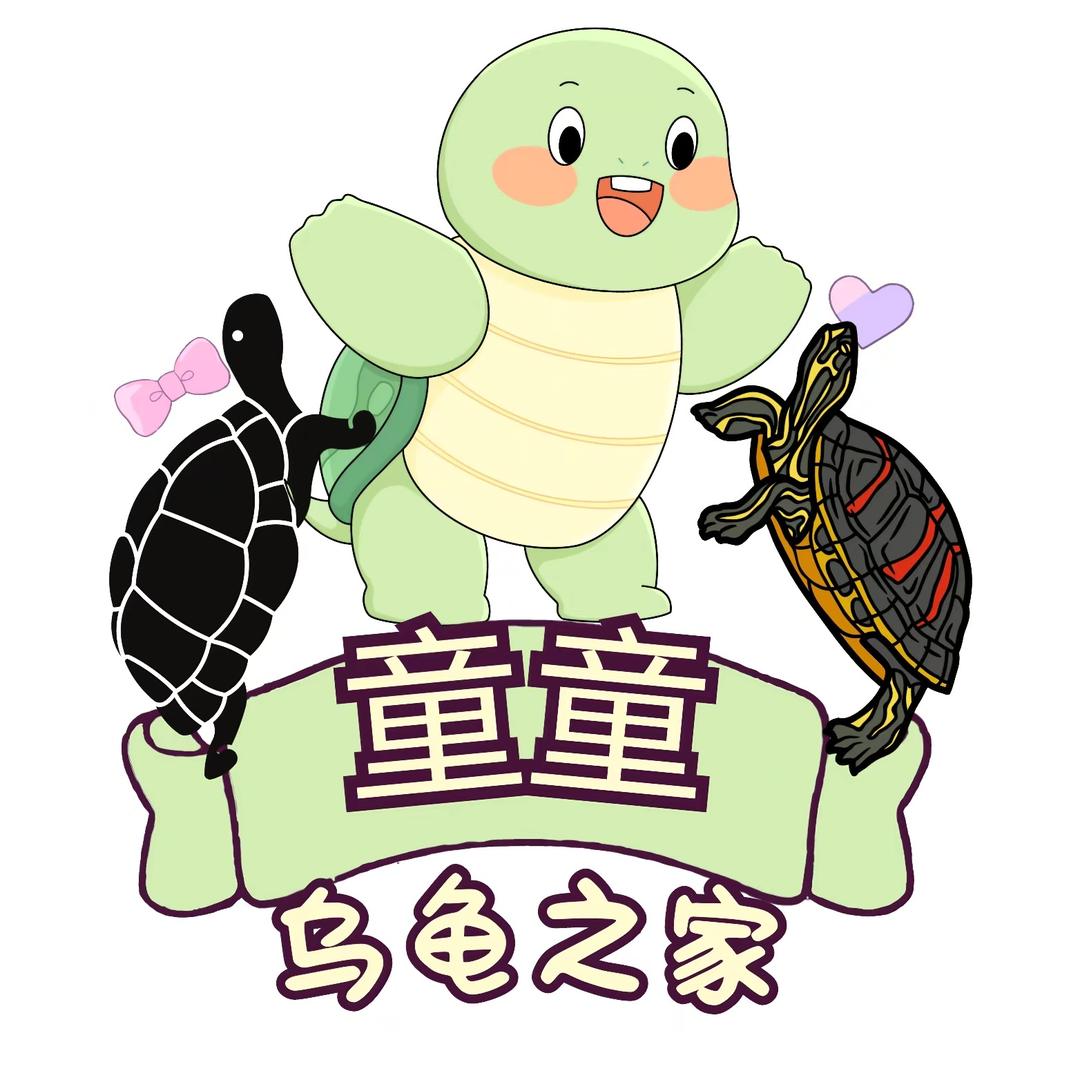 童童乌龟之家