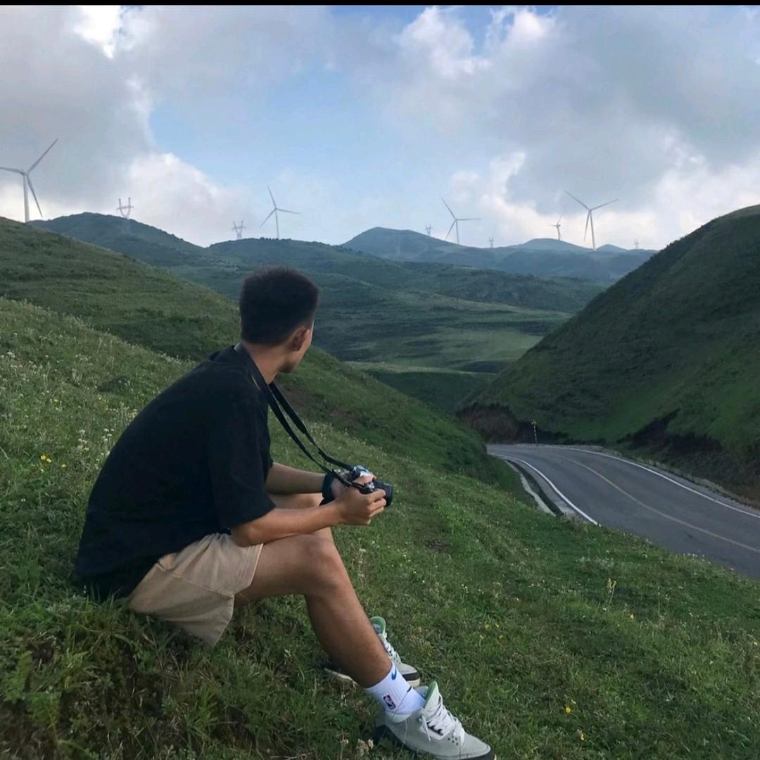 郑偶偶