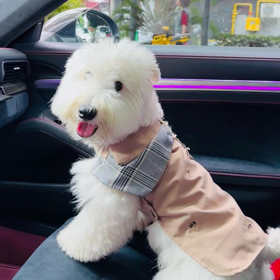 一拍既合  两点凌