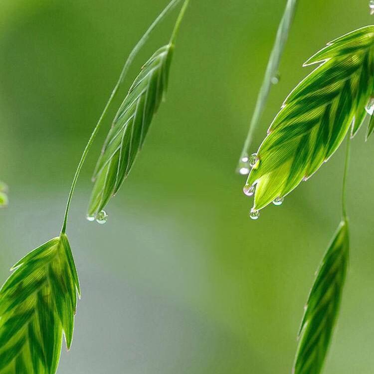 明天更好