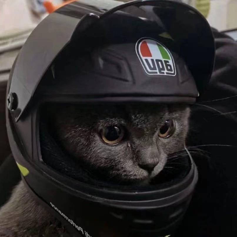 小黑是个胆小鬼