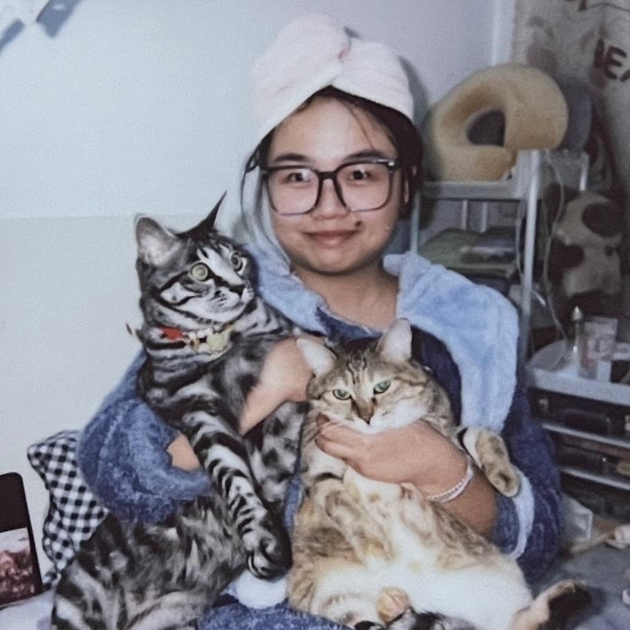 每天都好累好困😪