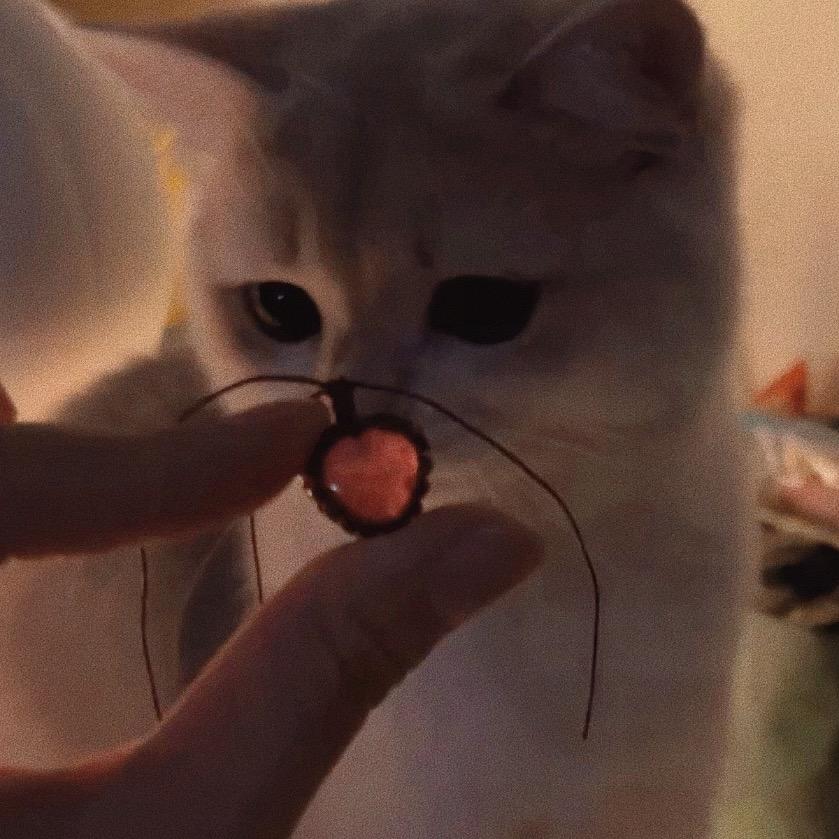 📿南宮富美📿
