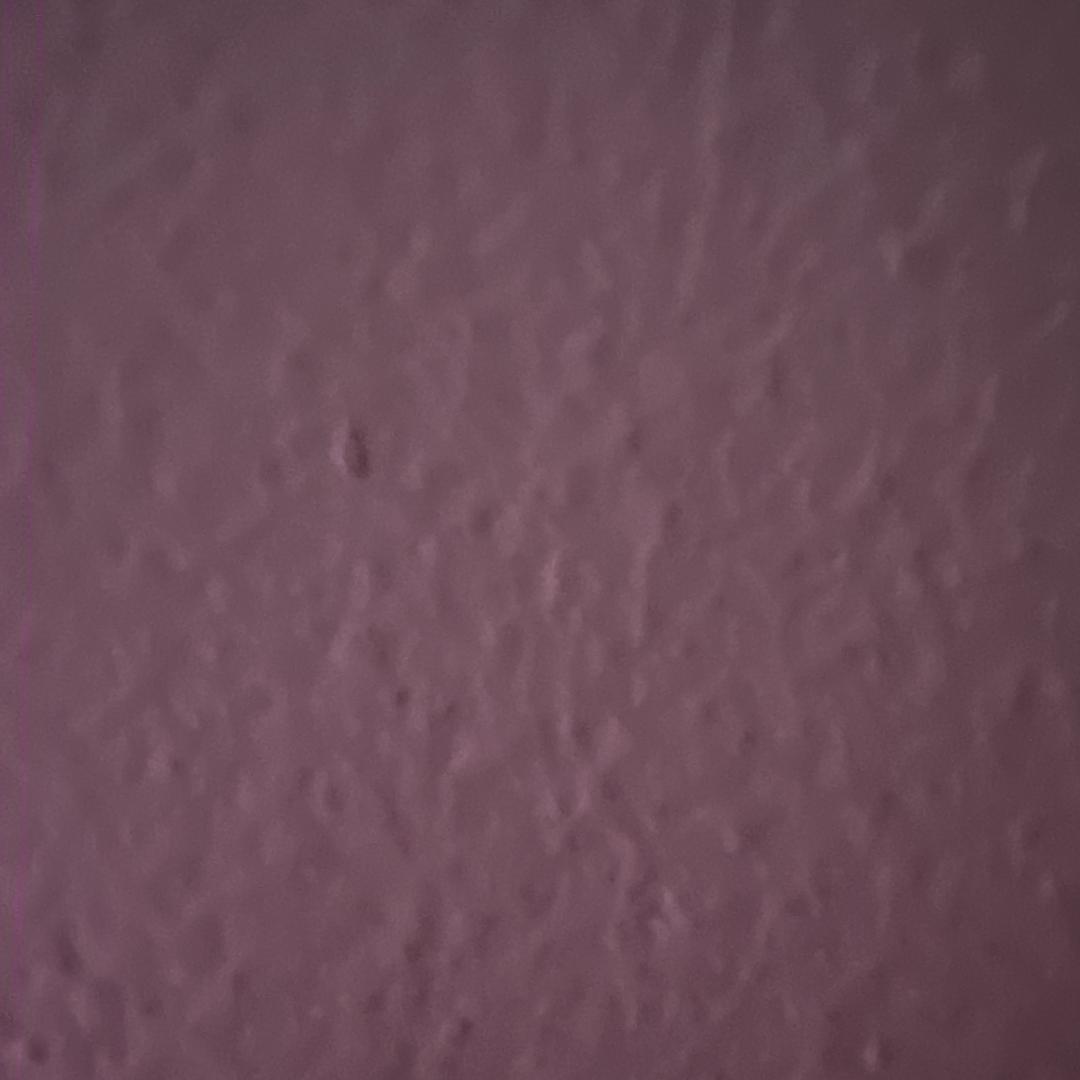50511723248