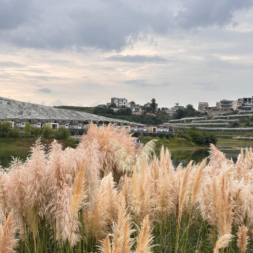 吹吹人间发财风