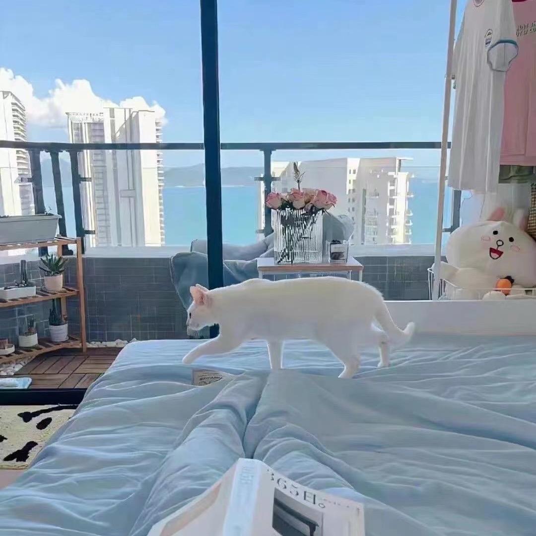 星河