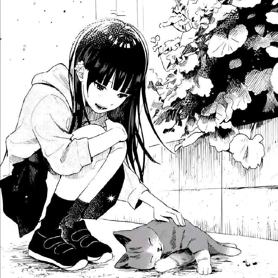 电子羊咩